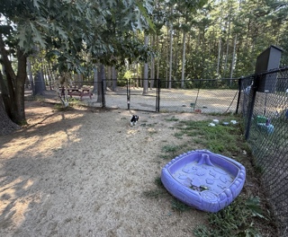Longhill Dog Park