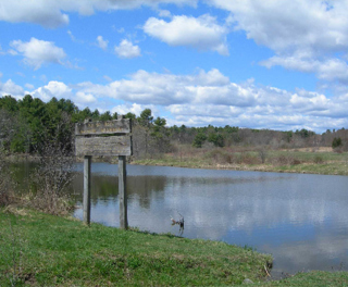 Bellamy River Wildlife Management Area